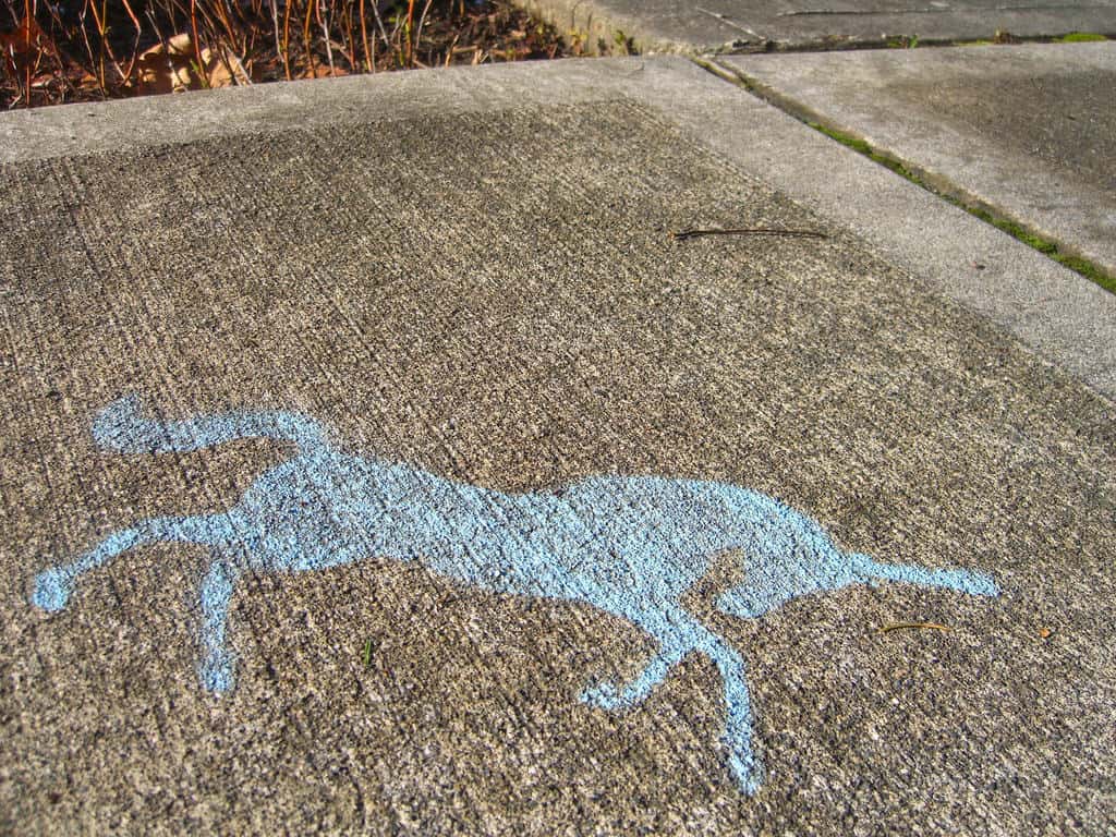 Creative Commons: https://j.mp/ZGdOvE