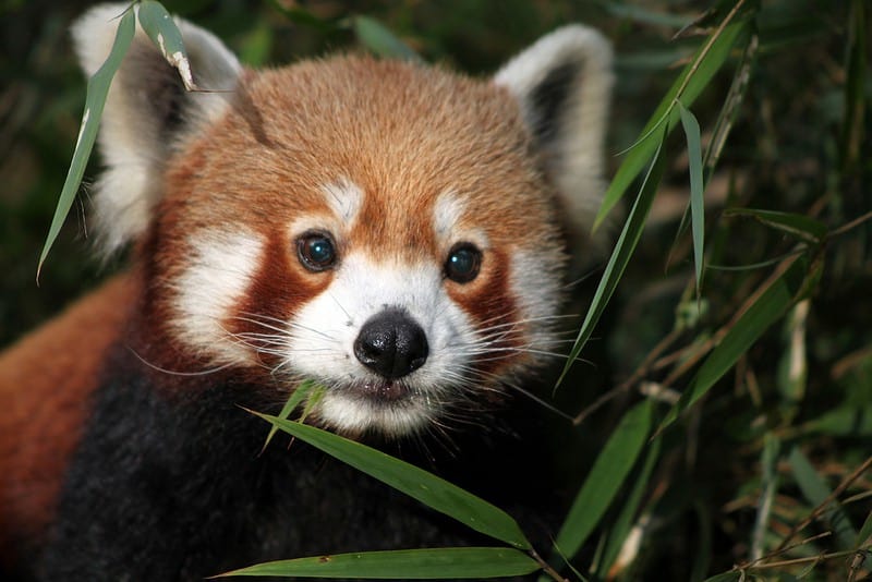 Creative Commons: https://j.mp/1bhHNmc